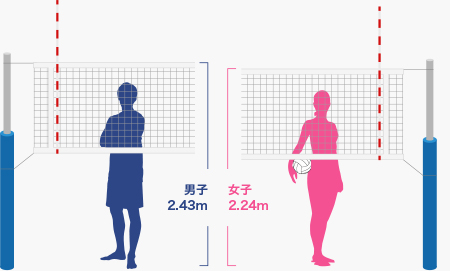 ネットの高さ。男子は2.43メートル、女子は2.24メートル。