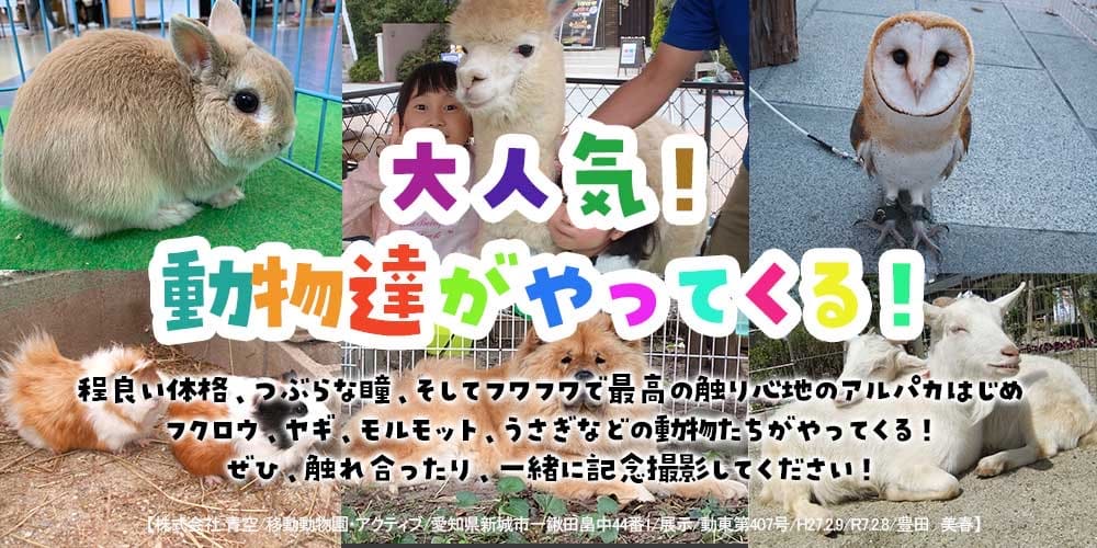 大人気！動物達がやってくる！